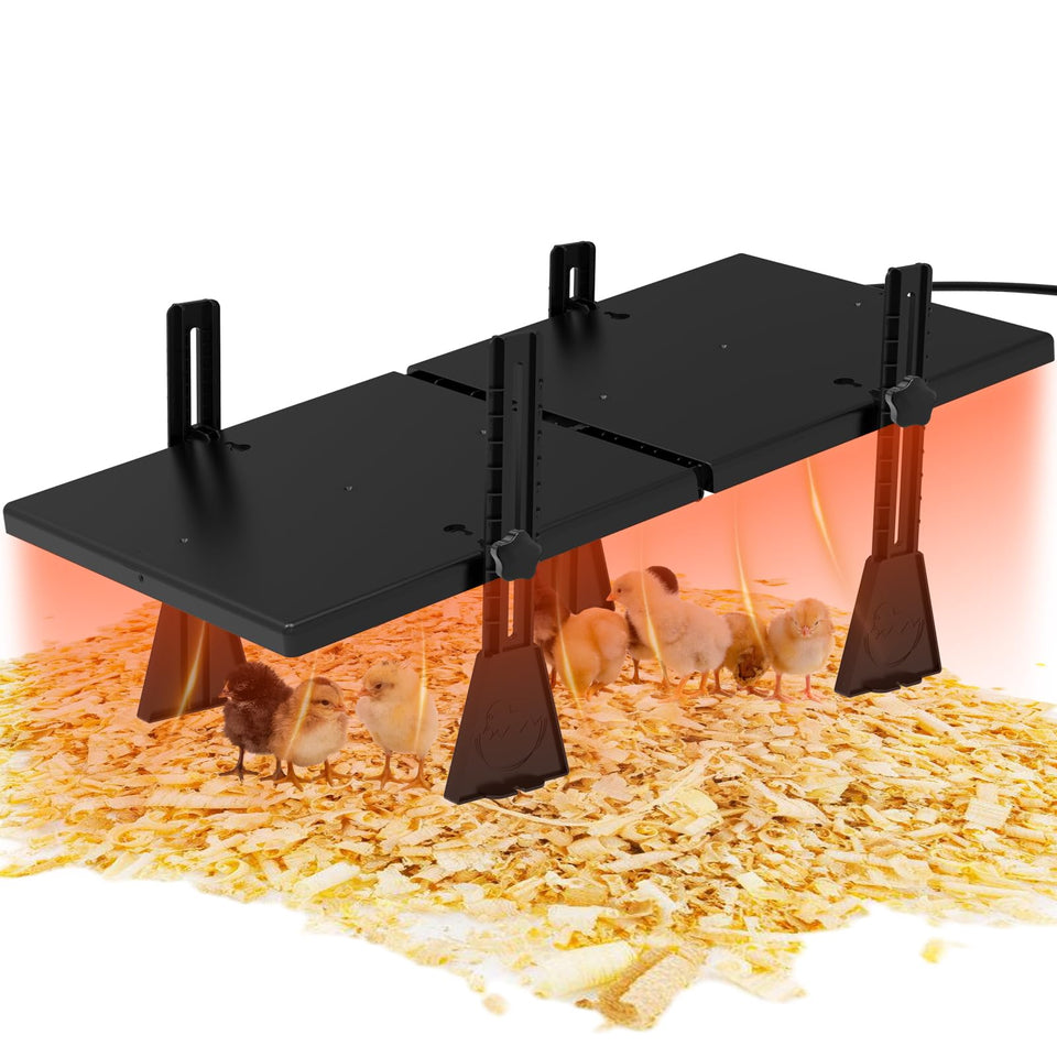 Keltne large brooder heater with two foldable plates warming a chick enclosure