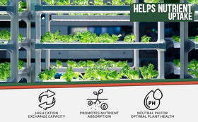 Kempf eco-friendly coir used as mulch and soil amendment