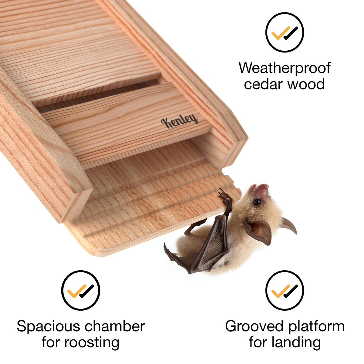 Kenley bat house chamber layout offers spacious roosting for bats.