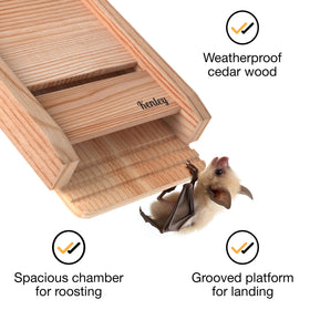 Kenley bat house chamber layout offers spacious roosting for bats.