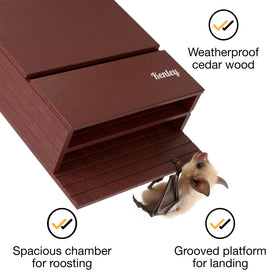 Kenley bat house double-chamber interior designed for roosting.