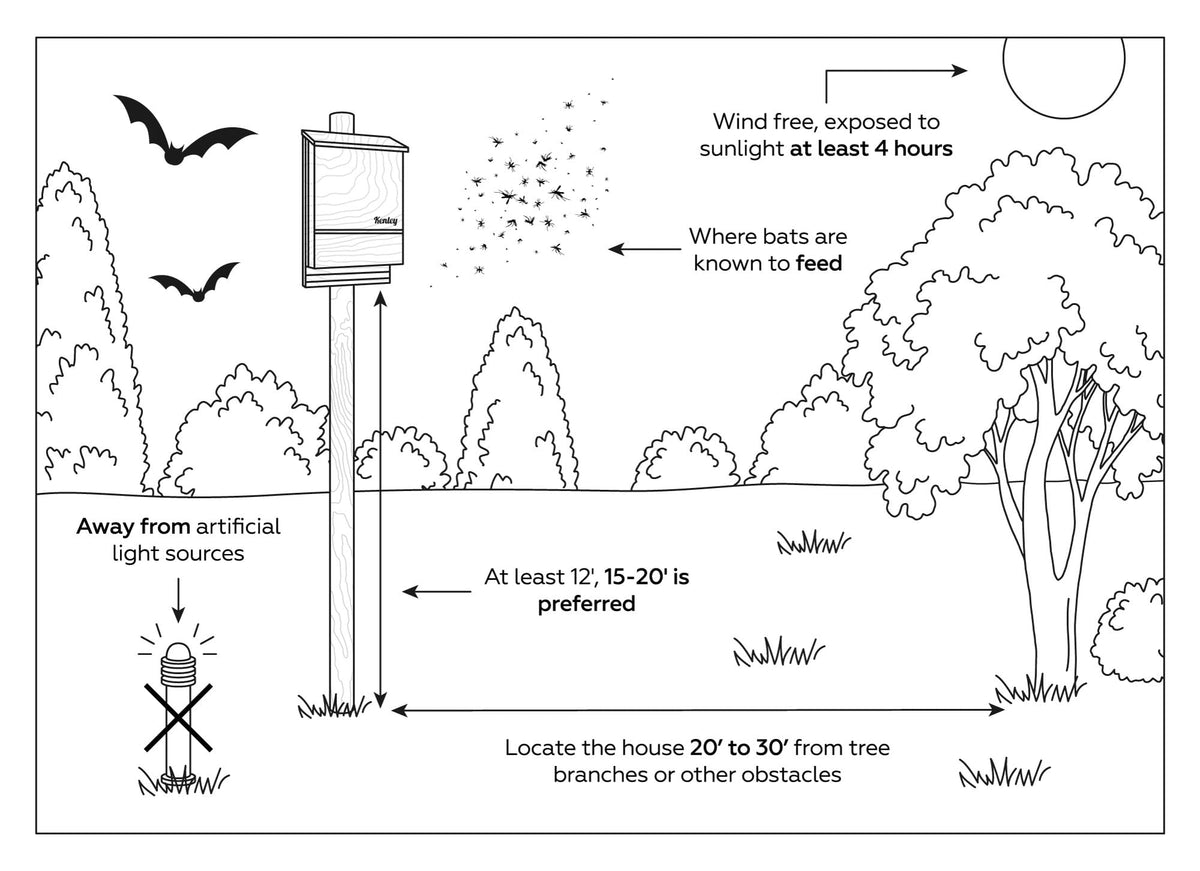 Kenley bat house landing textured platform helps bats land and settle.