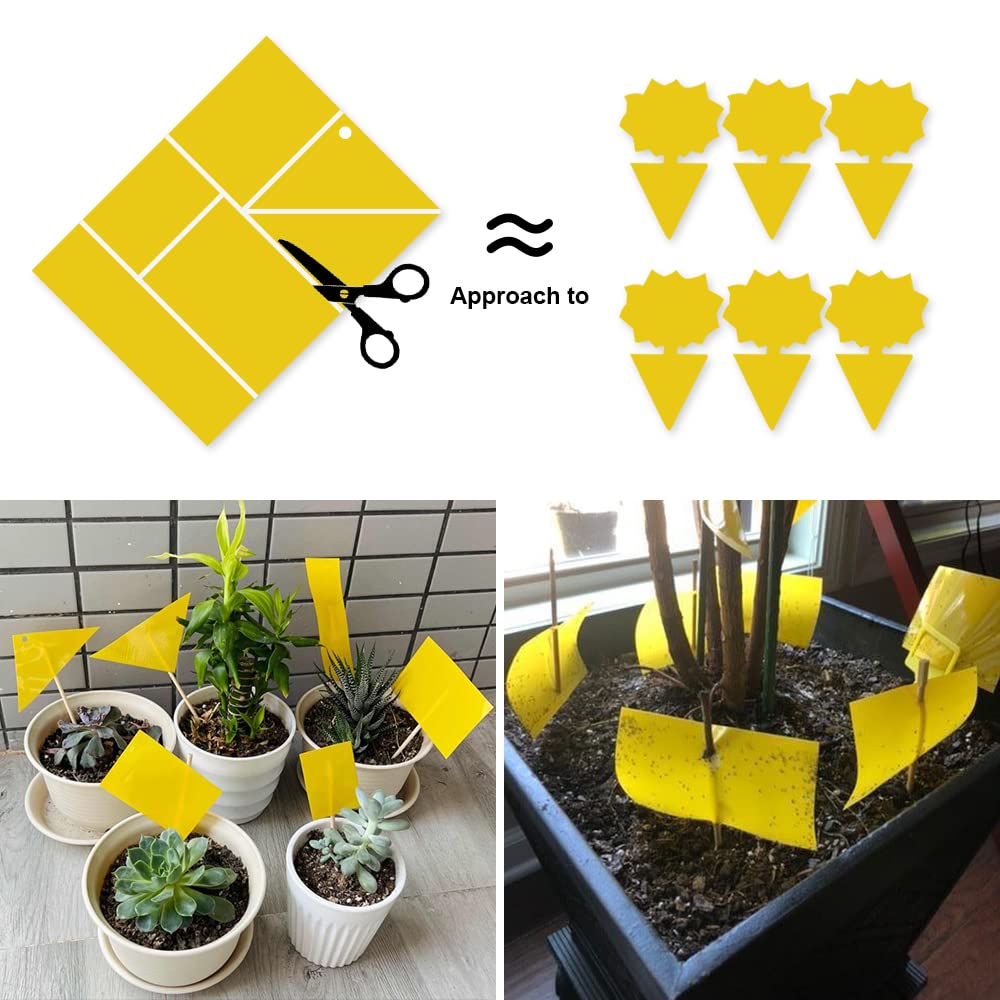 Kensizer cut-to-fit trap lets you tailor to pot sizes and plant setups.