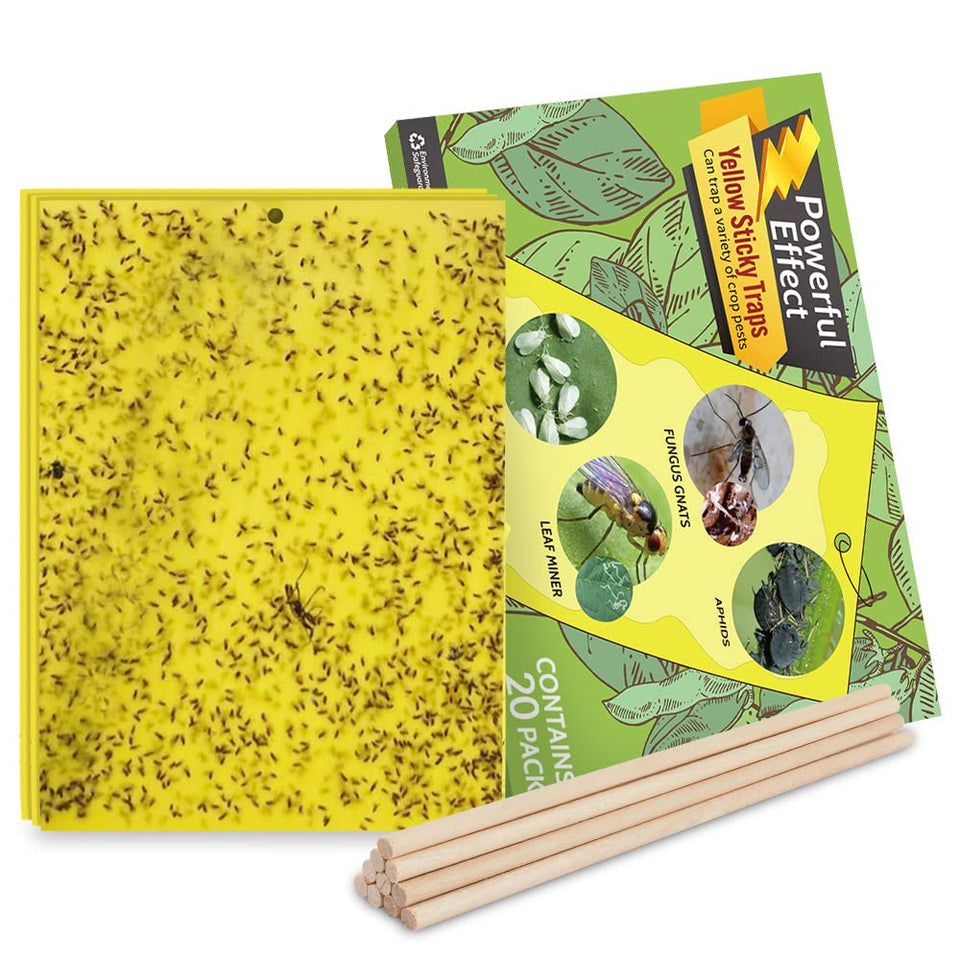 Kensizer fruit fly trap in yellow hanging design attracts gnats for indoor and outdoor use.