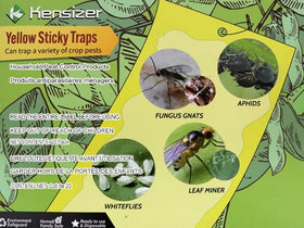 Kensizer gnat trap with double-sided surface catches more pests effectively.