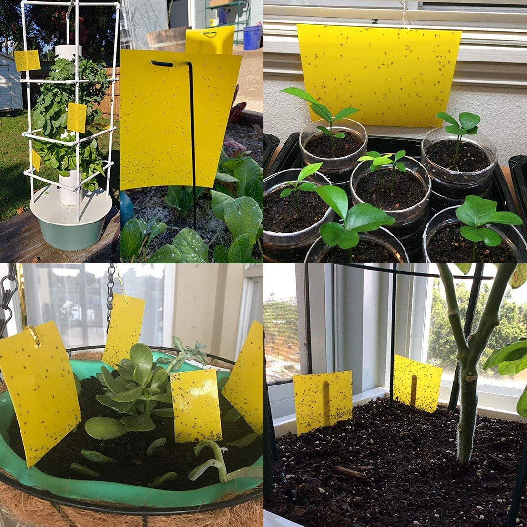 Kensizer sunproof and waterproof trap withstands sun and rain for lasting use.