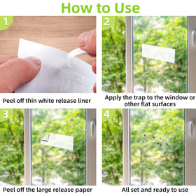 Traps on glass capture insects while preserving light transmission