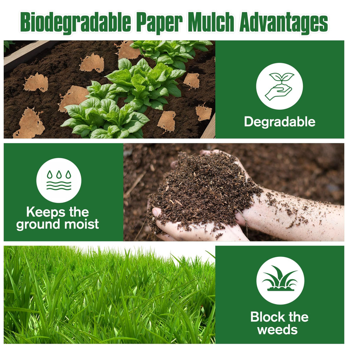 KEOHOLI moisture-retaining paper improves soil hydration for healthy plants
