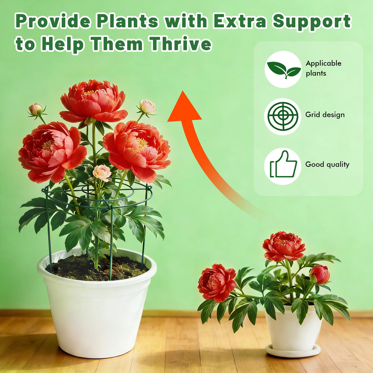 KEOHOLI peony cages prevent stem lodging and protect heavy growth during storms