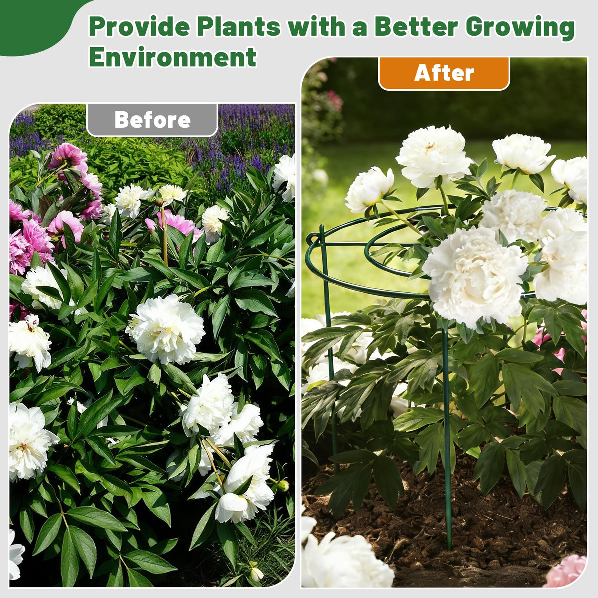 KEOHOLI plant supports suit peonies, roses, hydrangeas, and tomatoes in gardens