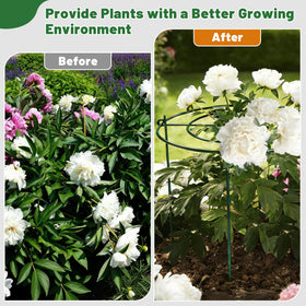 KEOHOLI plant supports suit peonies, roses, hydrangeas, and tomatoes in gardens