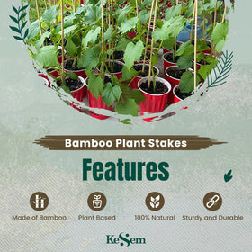 KESEM bamboo kebab skewer doubles as a versatile garden stake