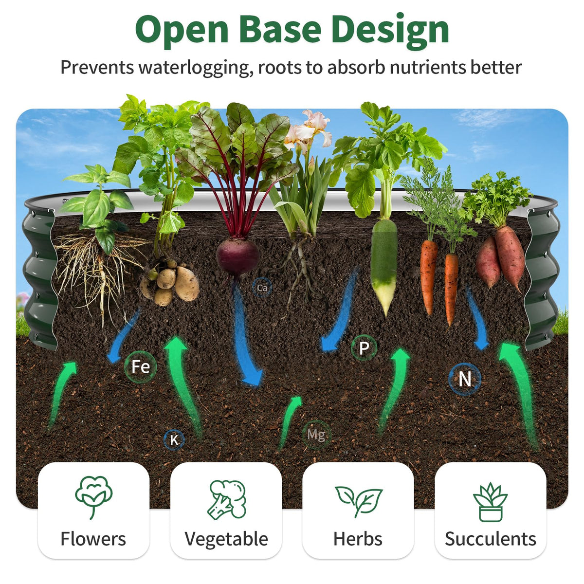 Kesfitt 12-inch deep growing space supports a wide range of crops