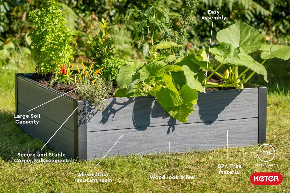 Maple raised garden bed dimensions 48x48 inches for ample growing space
