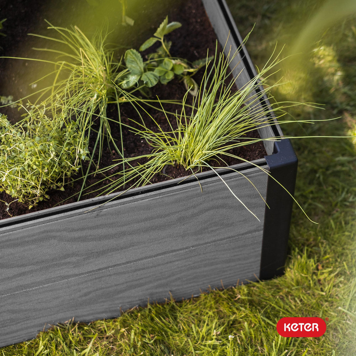 Maintenance-free Keter Maple raised garden bed offers easy care