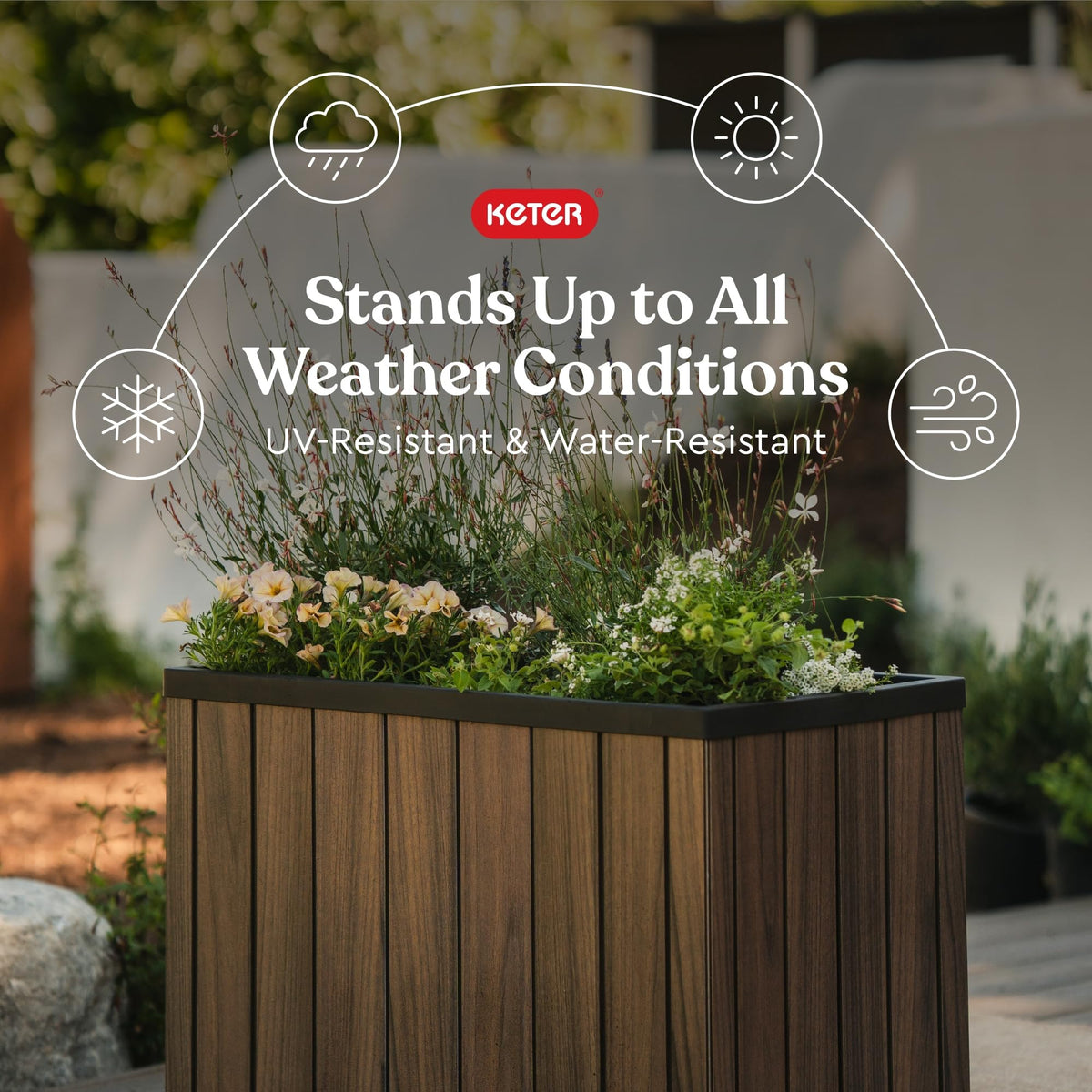 Wood-look finish and self-watering design promote healthy roots with minimal effort.