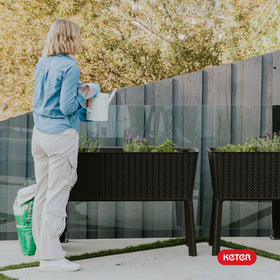 Keter Splendor vegetable garden setup on a small patio