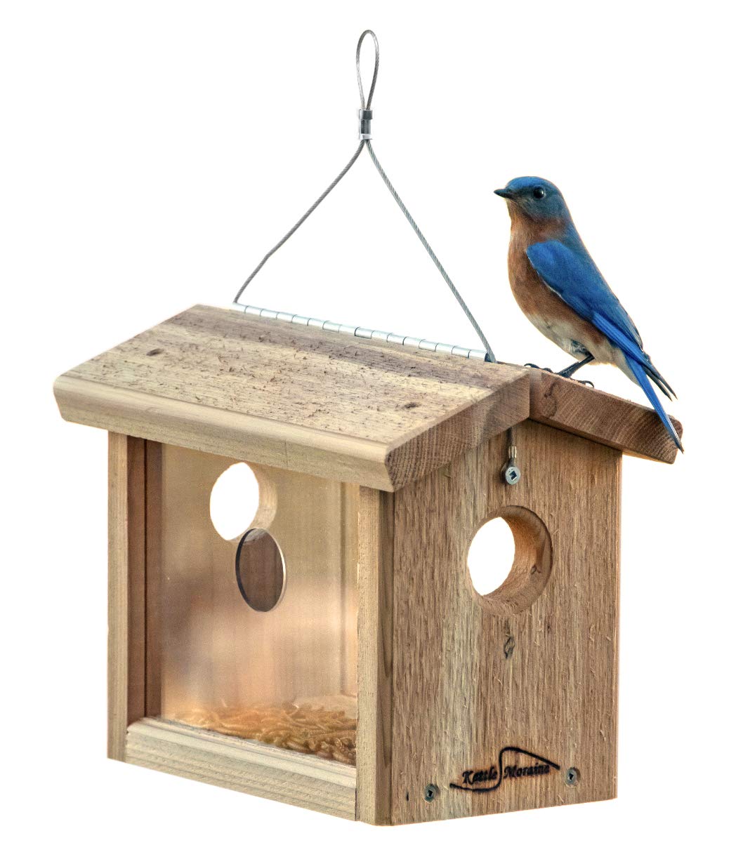 Kettle Moraine Cedar Hanging Bluebird Mealworm Feeder front view for easy entry.