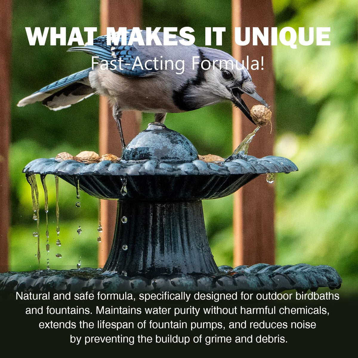 KEXGUSS birdbath scale removal on surface for reduced buildup.