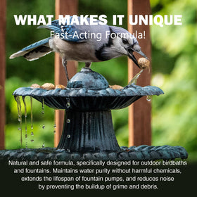 KEXGUSS birdbath scale removal on surface for reduced buildup.