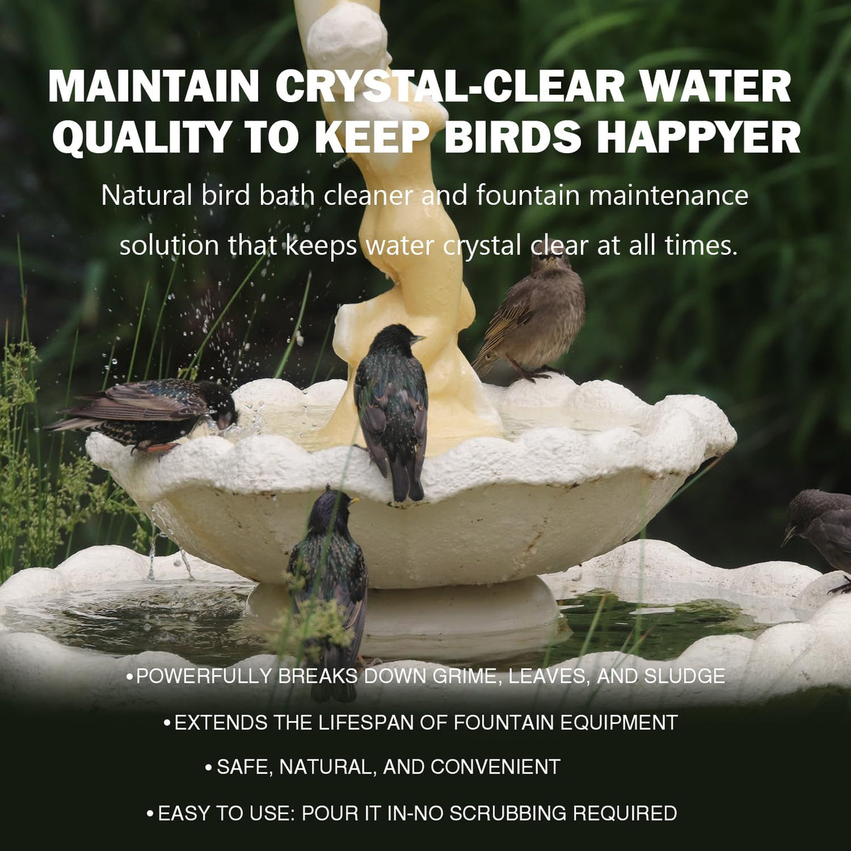 KEXGUSS fountain maintenance steps shown for easy upkeep.