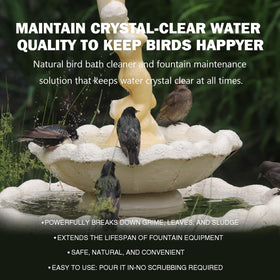 KEXGUSS fountain maintenance steps shown for easy upkeep.