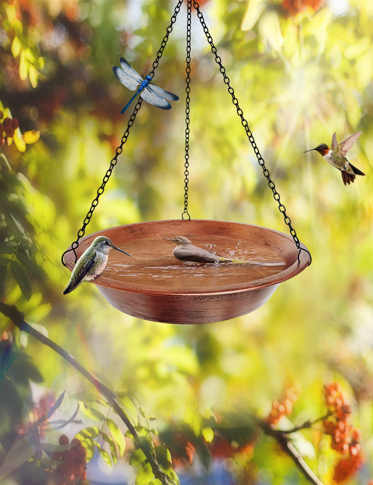 Keygift rock-centered small-bird access accessory for easy bathing