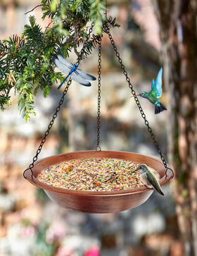 Keygift water and seed multipurpose bird bath for diverse visitors