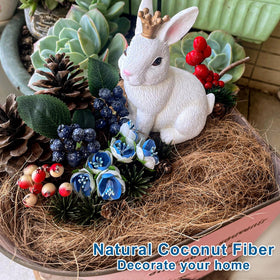 KFAREJGOAE coconut husk fiber demonstrates moisture management without soggy moss.