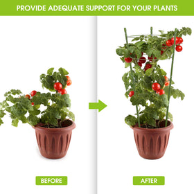 Kgozwon easy-install tomato cage simplifies setup and reuse.