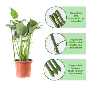 Kgozwon triangle-structure cage offers stable support for climbing plants.