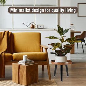 KGPLOME bedside plant stand adds space for essentials.