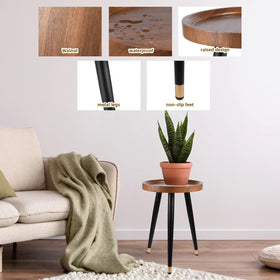 KGPLOME minimalist modern plant stand complements contemporary interiors.