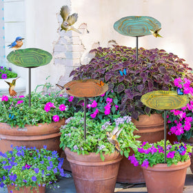 KHayRovies bird-bath diameter-7-9-inches sustains ample water for visiting birds