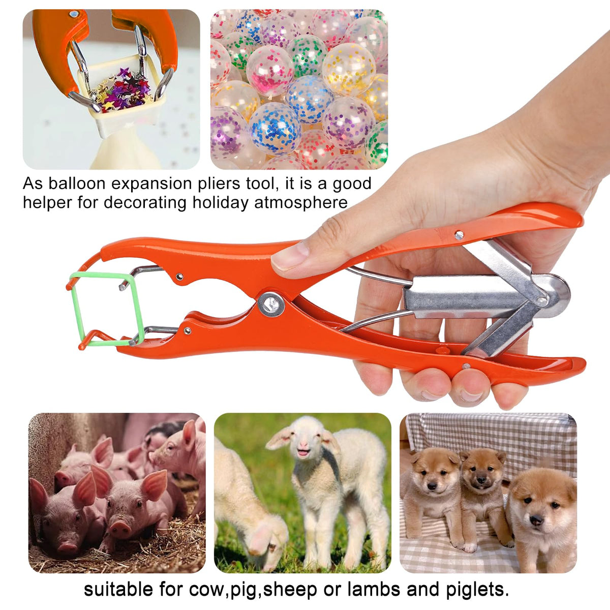 KHEARPSL Goat Banding Kit—packaged with rings for ready-to-use setup