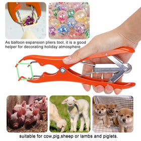KHEARPSL Goat Banding Kit—packaged with rings for ready-to-use setup