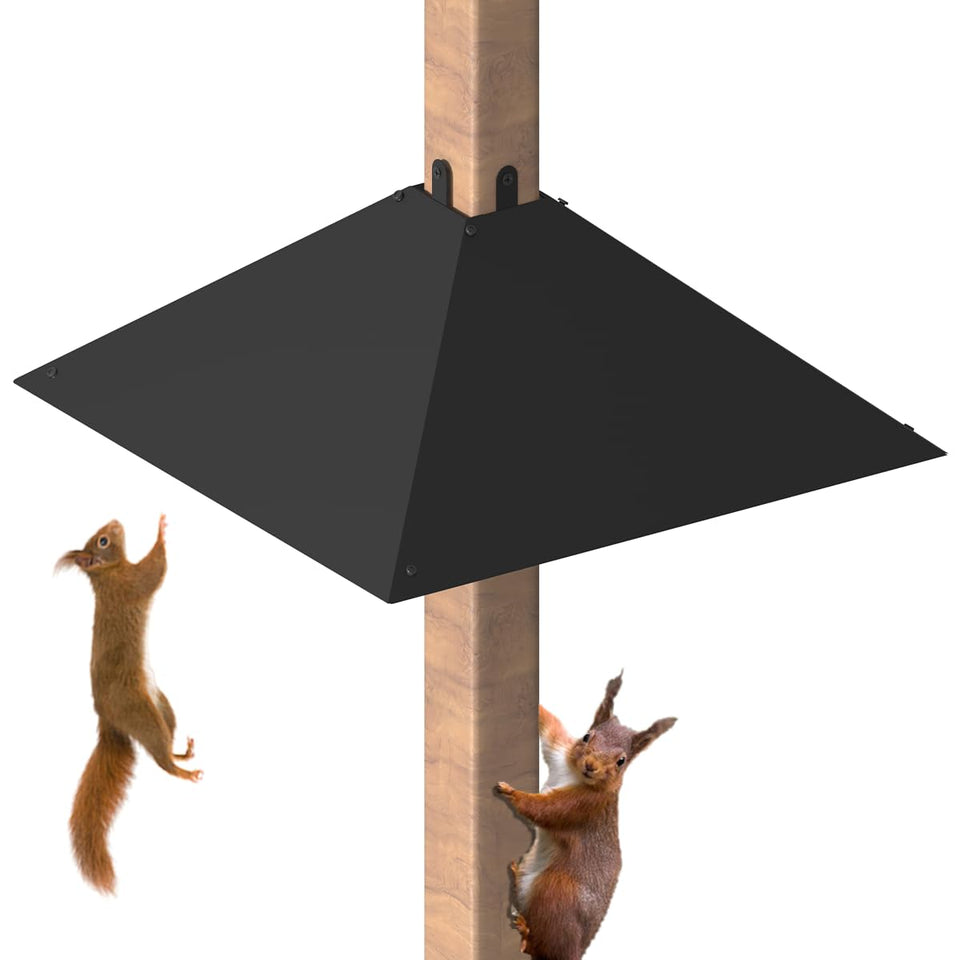 Khordin metal squirrel-baffle mounted on a 4x4 post shields bird feeders.