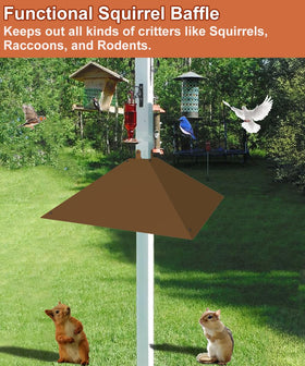 Khordin squirrel baffle protecting bird feeder and birds nearby