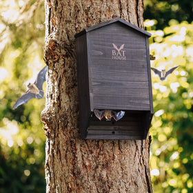 KIBAGA bat house preassembled with screws for easy installation.