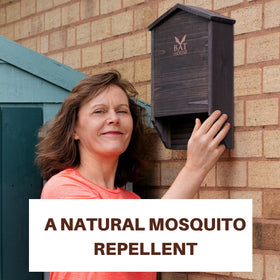 KIBAGA bat house two-chamber design supports roosting and shelter for multiple bats.