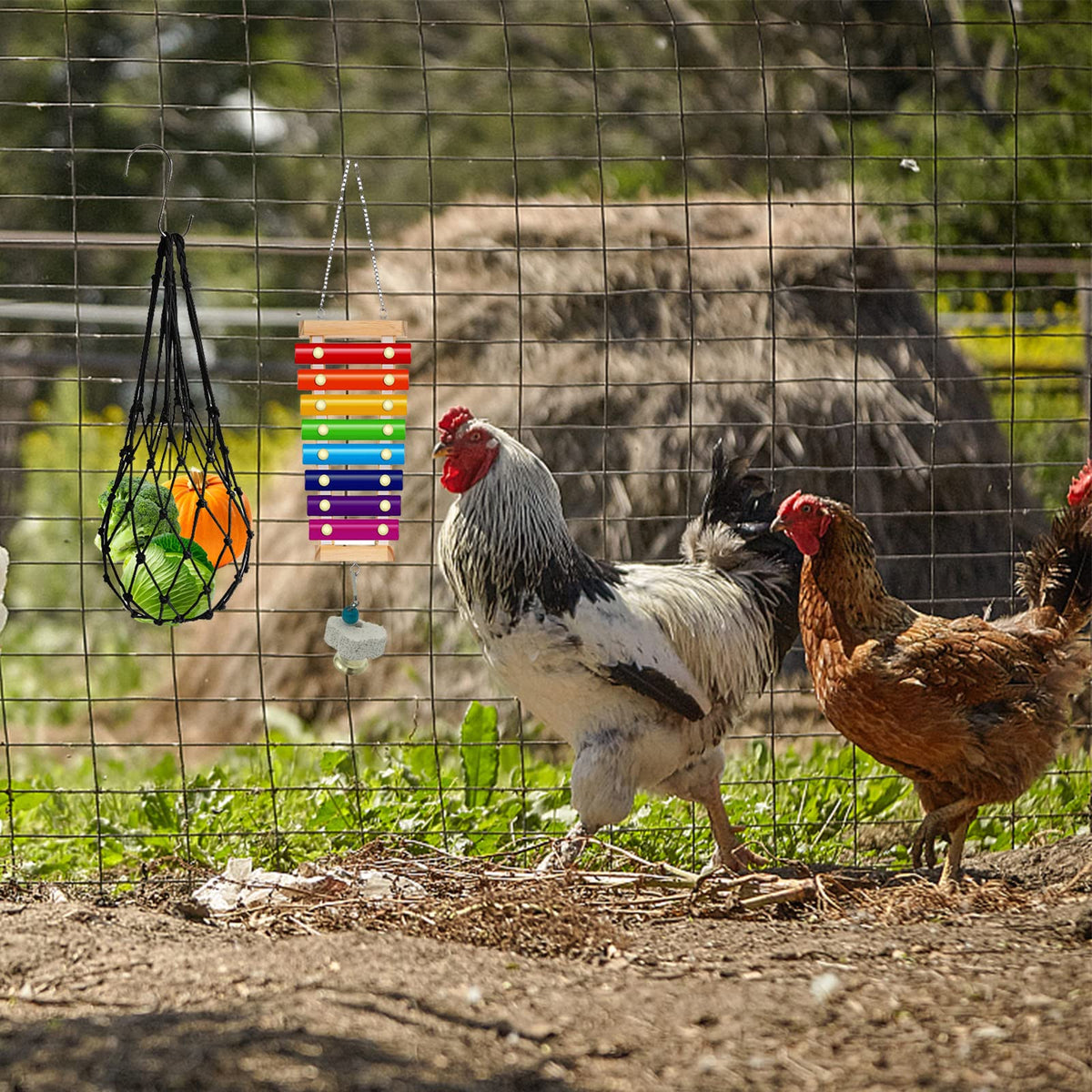 KIEYYRYT chicken mirror for curiosity and interaction