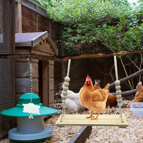 KIEYYRYT chicken swing perch encourages balance and fun
