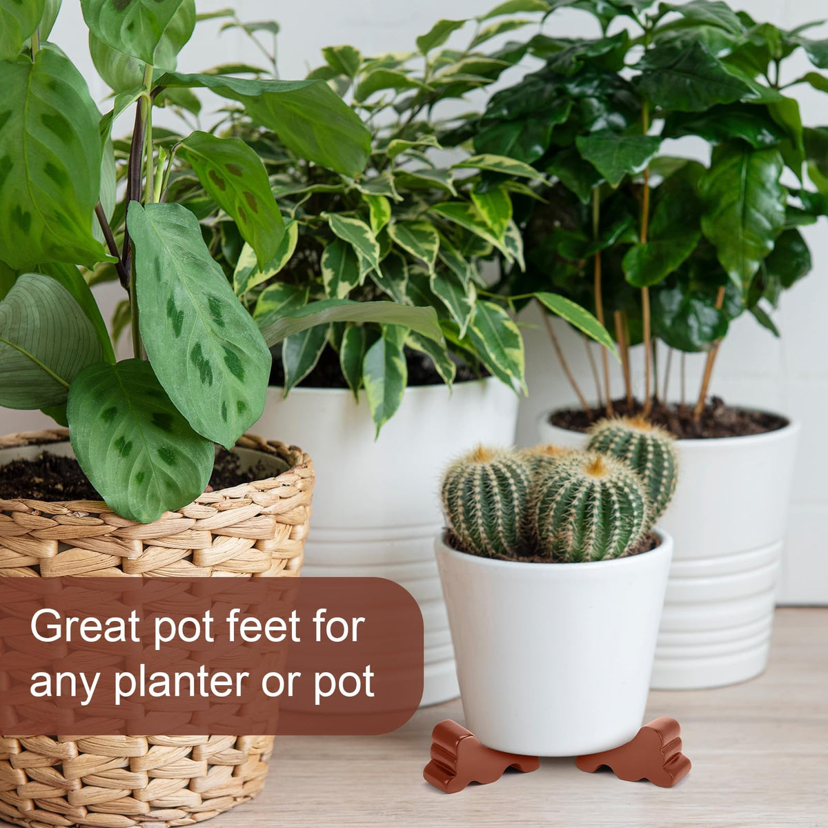 Kigeli hand-painted brown resin pot feet enhance rustic look