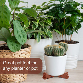 Kigeli hand-painted brown resin pot feet enhance rustic look