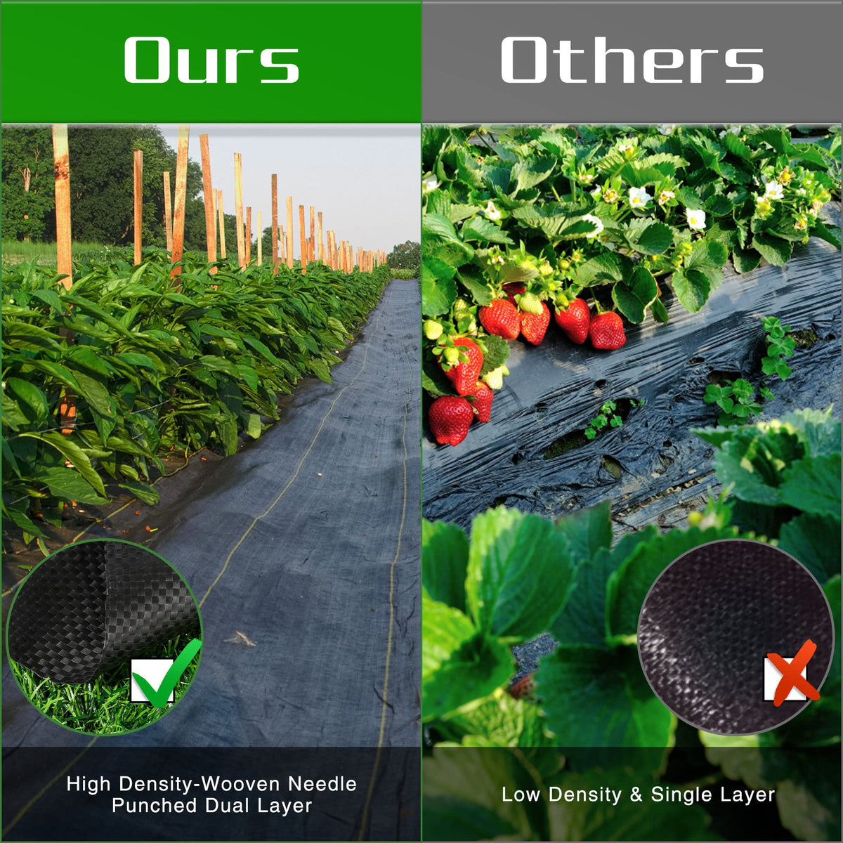 Kijamilee underlay ground cover promotes neat beds and reduced soil disruption
