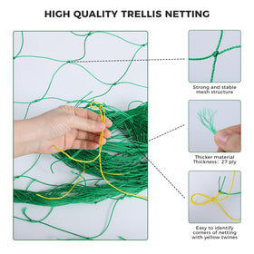 Kikhope trellis netting installed as an A-frame supporting climbing plants