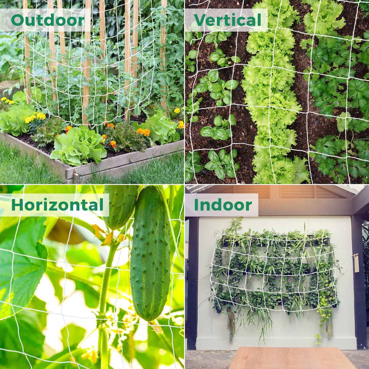 Kikhope netting supports tomatoes, cucumbers, peas for healthier yields.
