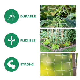 Vine growth supported by Kikhope netting in a garden frame.