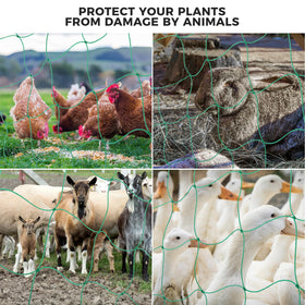 Kikhope trellis netting demonstrating weather durability outdoors