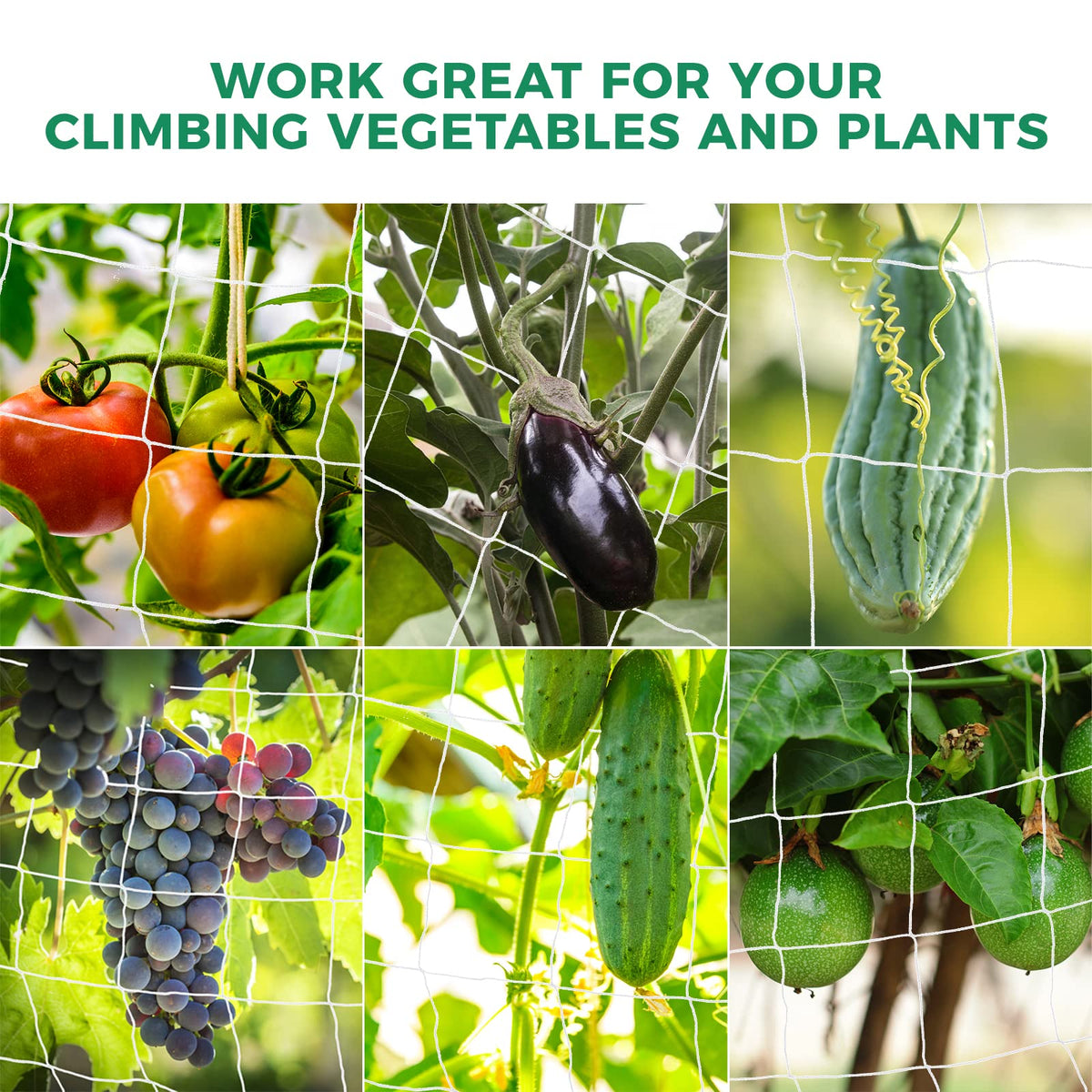 Kikhope weather-resistant garden netting withstands wind, sun, and rain while staying in place.